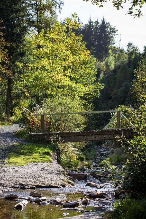Vila La Belle Du Bayehon Malmedy Exteriér fotografie