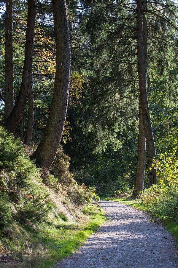 Vila La Belle Du Bayehon Malmedy Exteriér fotografie